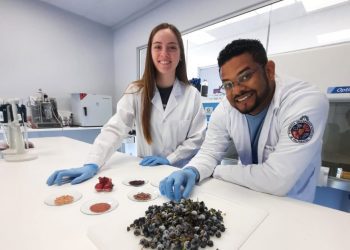 Bioplástico fabricado con uvas y cáscaras de papa cambia de color cuando los alimentos se echan a perder