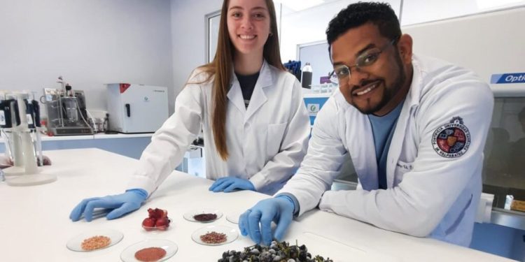 Bioplástico fabricado con uvas y cáscaras de papa cambia de color cuando los alimentos se echan a perder