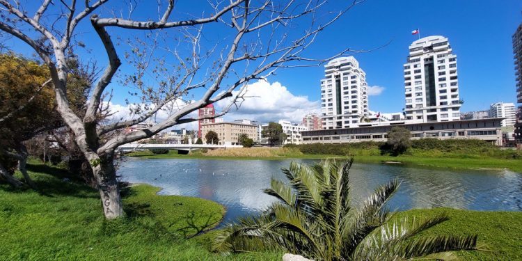 Municipio impulsa iniciativas y obras de recuperación en el sector céntrico de la ciudad