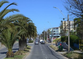 Municipio de Viña del Mar Avanza en la Instalación de 700 Luces LED en Gómez Carreño