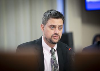 Comisión de Economía oficia al Gobierno para dar urgencia al “Chao Dicom”