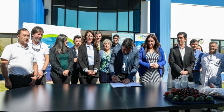 Dirección del Trabajo perfecciona la investigación de atropellos a los derechos fundamentales de los trabajadores