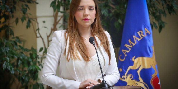 Diputada Flores logra juntar las firmas: Habrá sesión especial en el Congreso para tratar delitos sexuales en Mejor Niñez