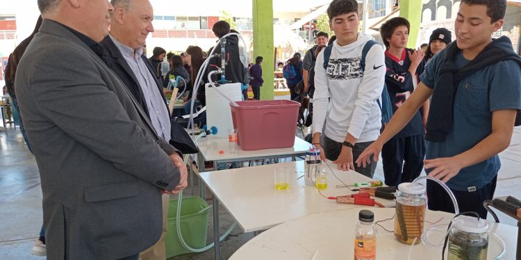Semana Regional de la Ciencia: presentan muestra de 80 proyectos científicos estudiantiles de Petorca