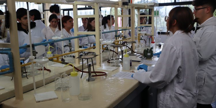 Estudiantes secundarios de Viña del Mar realizaron novedosos experimentos en laboratorios de química