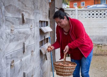 INDAP impulsa el empoderamiento asociativo de las mujeres rurales a través de un nuevo Programa de Asociatividad Económica con Enfoque de Género