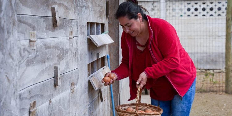 INDAP impulsa el empoderamiento asociativo de las mujeres rurales a través de un nuevo Programa de Asociatividad Económica con Enfoque de Género