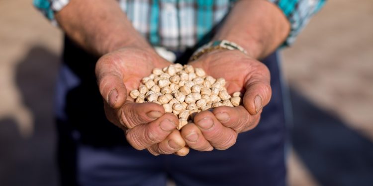INDAP destina más de $8.607 millones para fomentar cultivos tradicionales sustentables