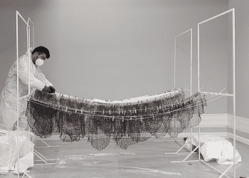 Investigadora porteña crea pintura nanotecnológica que soluciona los graves problemas de la industria salmonera