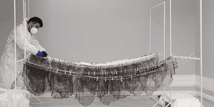 Investigadora porteña crea pintura nanotecnológica que soluciona los graves problemas de la industria salmonera