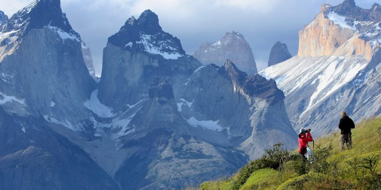 [Opinión] Mauricio Osses: Biodiversidad y Áreas Protegidas en Chile