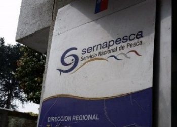 Federación de Funcionarios del Sector Pesca denuncia Intervencionismo Electoral en Sernapesca