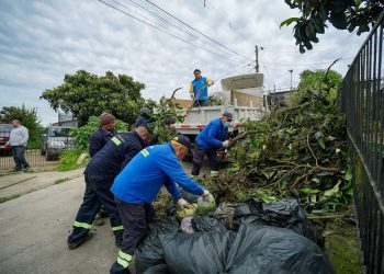 Viña del Mar Intensifica Labor Preventiva en Construcción de Cortafuegos y Desmalezamiento