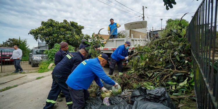 Viña del Mar Intensifica Labor Preventiva en Construcción de Cortafuegos y Desmalezamiento