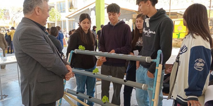 Noventa proyectos científicos de estudiantes de la zona se presentarán en Feria Regional Escolar STEAM