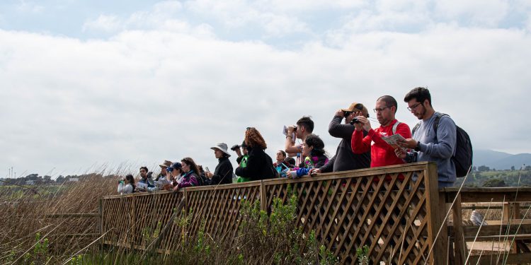 Valparaíso cuenta con 30 nuevos guías para zonas de humedales