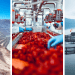 Ciudadanía exige mayor transparencia y mejor gestión medioambiental a las cinco principales industrias productivas de Chile
