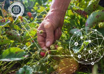 Nuevo centro científico aportará a la sustentabilidad agrícola, cuidado de la salud humana y biorremediación