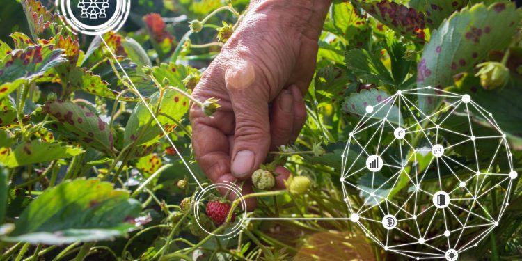 Nuevo centro científico aportará a la sustentabilidad agrícola, cuidado de la salud humana y biorremediación