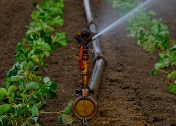 Tecnificación del riego: El sistema que será clave para la producción agrícola en la región