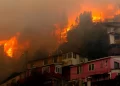 Incendios forestales: un riesgo medioambiental que crece