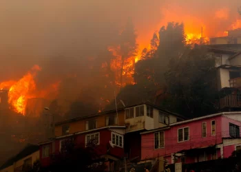 Incendios forestales: un riesgo medioambiental que crece