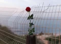 [Opinión] Bernie Sanders: Justicia para los palestinos y seguridad para Israel