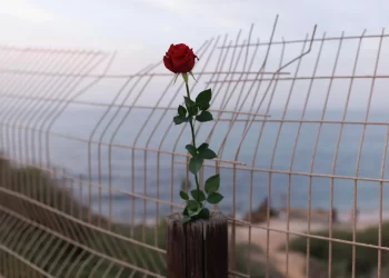 [Opinión] Bernie Sanders: Justicia para los palestinos y seguridad para Israel