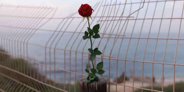 [Opinión] Bernie Sanders: Justicia para los palestinos y seguridad para Israel