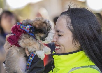 Tenencia Responsable proyecta un aumento considerable en los servicios para el año 2024