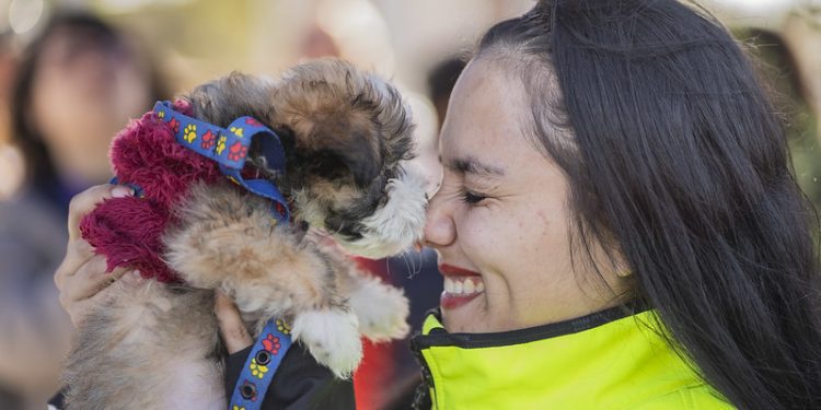 Tenencia Responsable proyecta un aumento considerable en los servicios para el año 2024