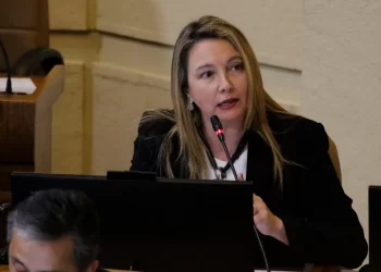 Diputada Catalina De Real apunta a la “pasividad” del Gobierno ante la creciente inseguridad en el país
