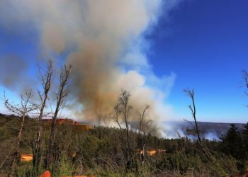Incendio en Limache permanece activo: se contabilizan 500 hectáreas quemadas