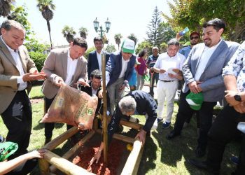 Proyecto de Arborización Urbana más grande de Latinoamérica cumplió el 100% de su meta