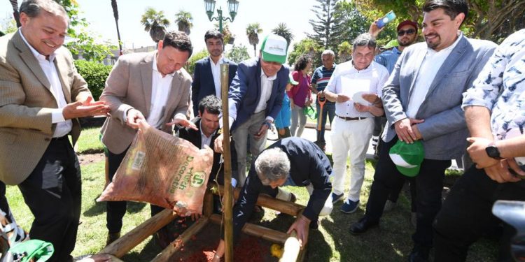 Proyecto de Arborización Urbana más grande de Latinoamérica cumplió el 100% de su meta