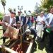 Proyecto de Arborización Urbana más grande de Latinoamérica cumplió el 100% de su meta