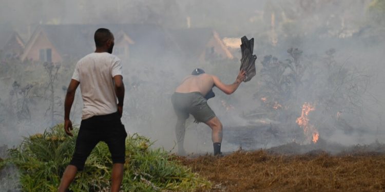 Limache: Delegada presidencial confirma 7 lesionados y 800 hectáreas consumidas