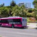 Viña del Mar avanza en Turismo Sostenible incorporando Bus Eléctrico que recorrerá el plan de la ciudad