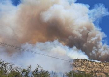 «Presenta comportamiento extremo»: Decretan alerta roja para Curacaví por incendio forestal en Cuesta Barriga