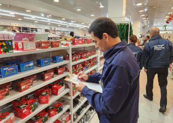 Campaña de fiscalización: SEC Valparaíso y Seremi de Energía promueven el uso seguro de guirnaldas navideñas