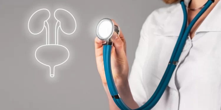 Infecciones urinarias: ¿por qué son más comunes en verano?