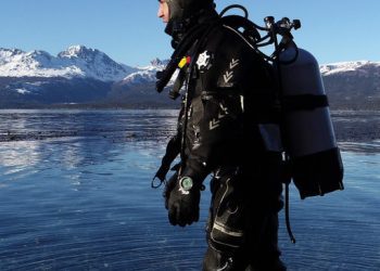 La mirada de Mauricio Palacios, el biólogo marino que busca proteger los bosques azules de la Patagonia