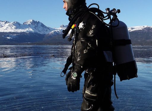 La mirada de Mauricio Palacios, el biólogo marino que busca proteger los bosques azules de la Patagonia