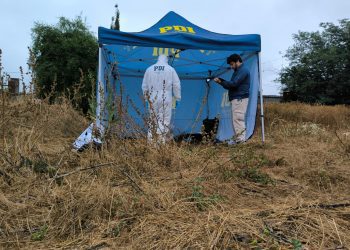 PDI detiene a autores de homicidio de hombre ocurrido en Quillota
