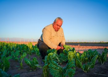 INDAP anuncia renovación de convenios de ejecución del programa Prodesal y proceso participativo para validar nueva norma técnica