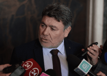 Lobos de mar ponen en jaque a los pescadores de la región: diputado Venegas llama al gobierno a solucionar “con urgencia” la crisis