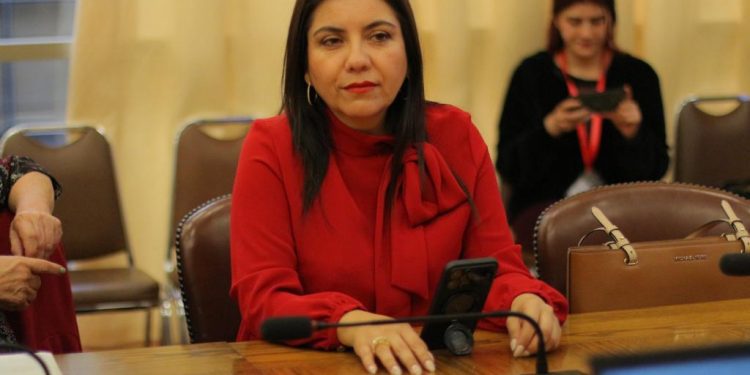 «No tenemos que seguir buscando salvavidas»: Diputada Astudillo (PS) por situación de Isapres