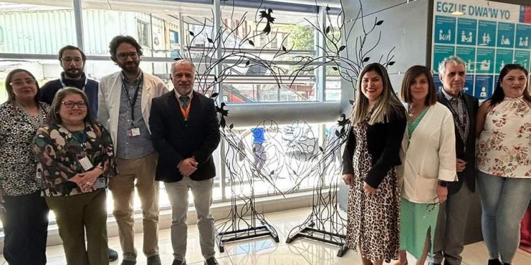 Hospital Dr. Gustavo Fricke SSVQ inaugura el Árbol de la nueva vida junto al Servicio de Salud Viña del Mar Quillota