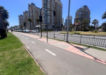 Reforzando la seguridad: Viña del Mar implementa barandas en el borde costero de Las Salinas