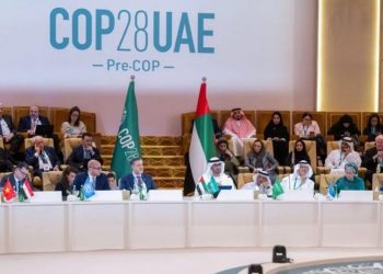 Cop 28: Organizaciones de la Patagonia urgen para una protección efectiva de los bosques marinos frente al cambio climático